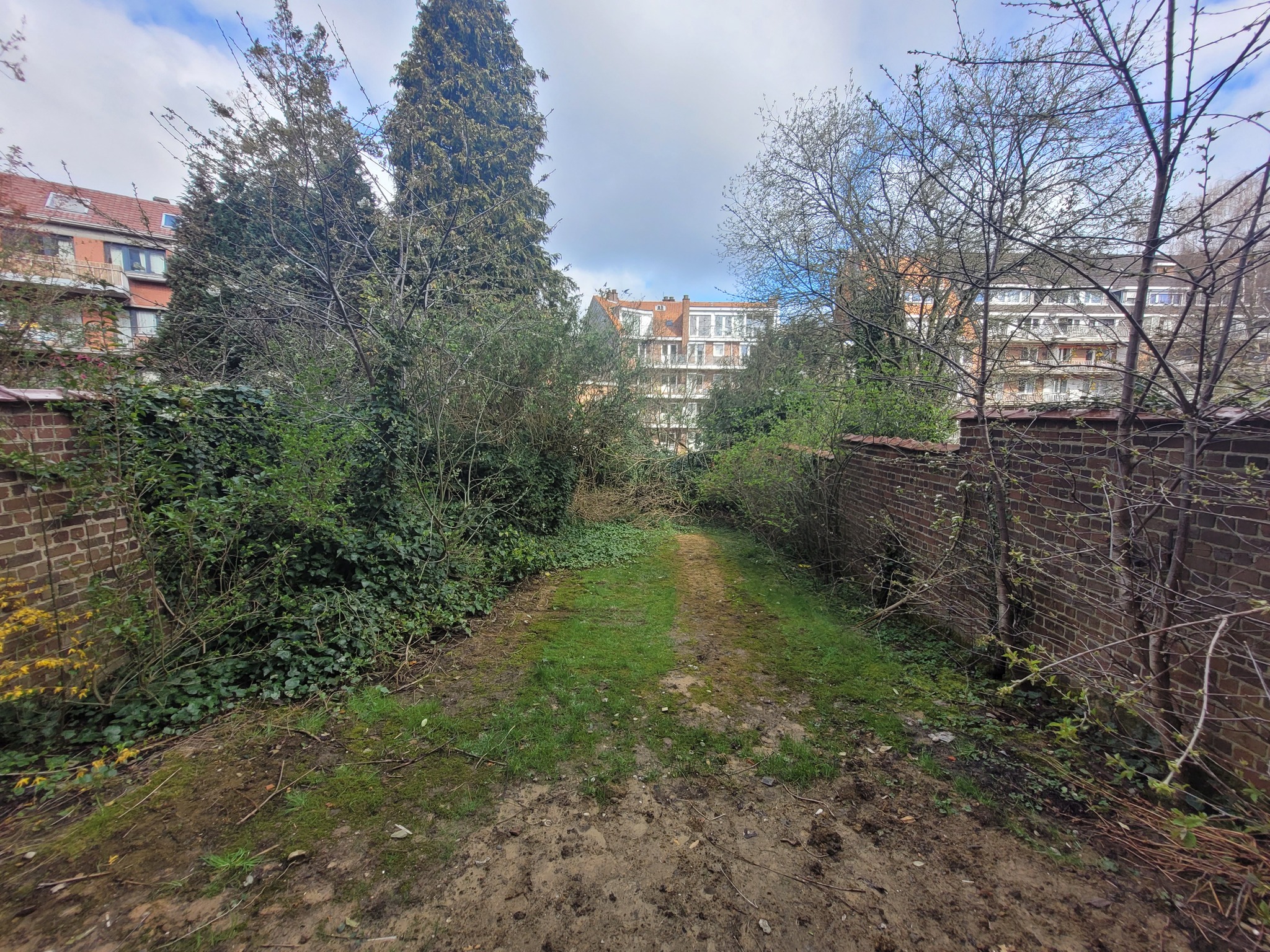 Jardin avant
